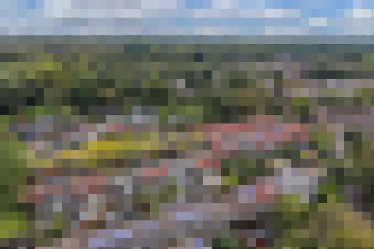 Redemark 25 Almere thumbnail 38