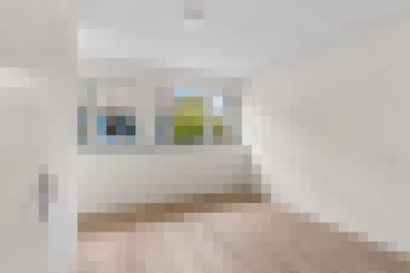 Redemark 30 Almere thumbnail 22