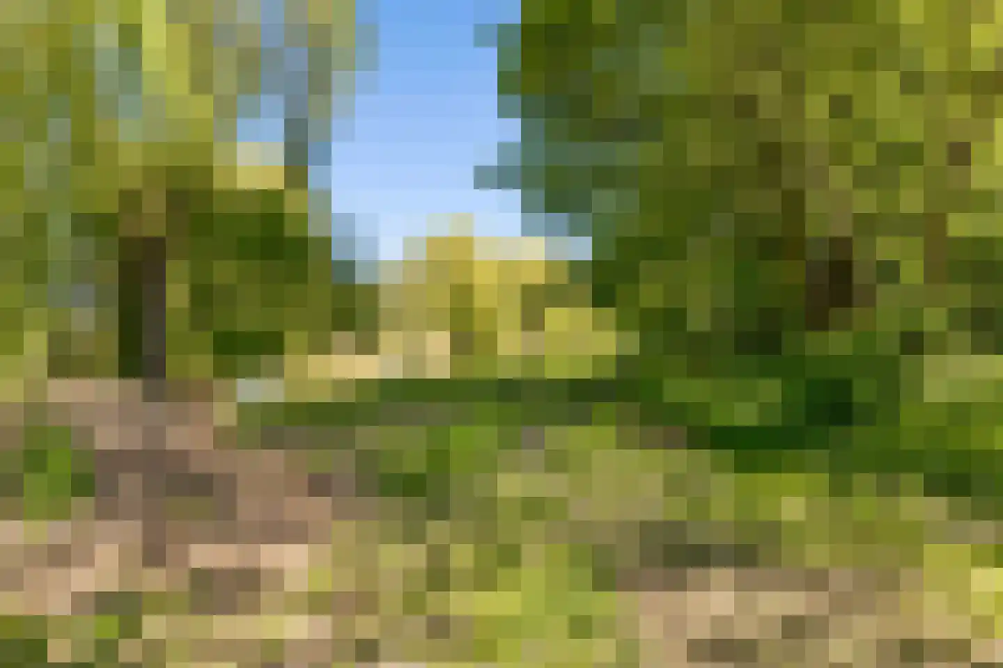 Redemark 30 Almere thumbnail 8