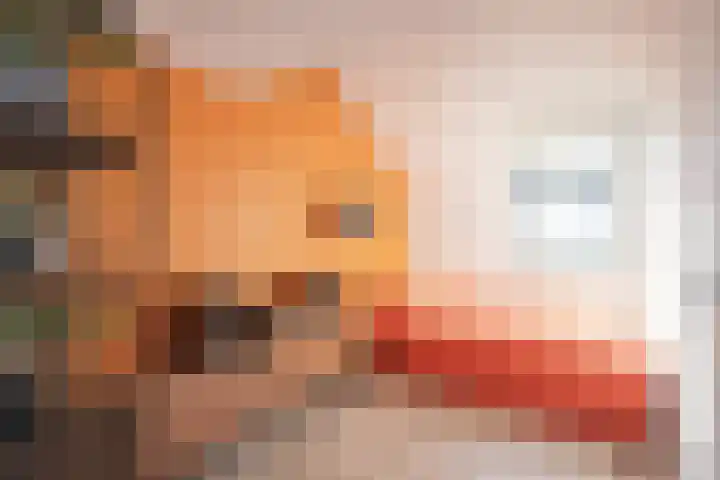 Redemptielaan 36 Maastricht thumbnail 15