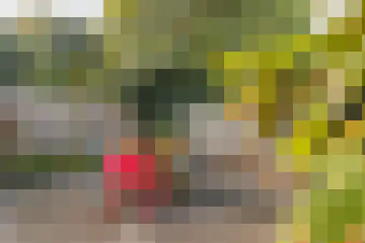 Redemptielaan 36 Maastricht thumbnail 22
