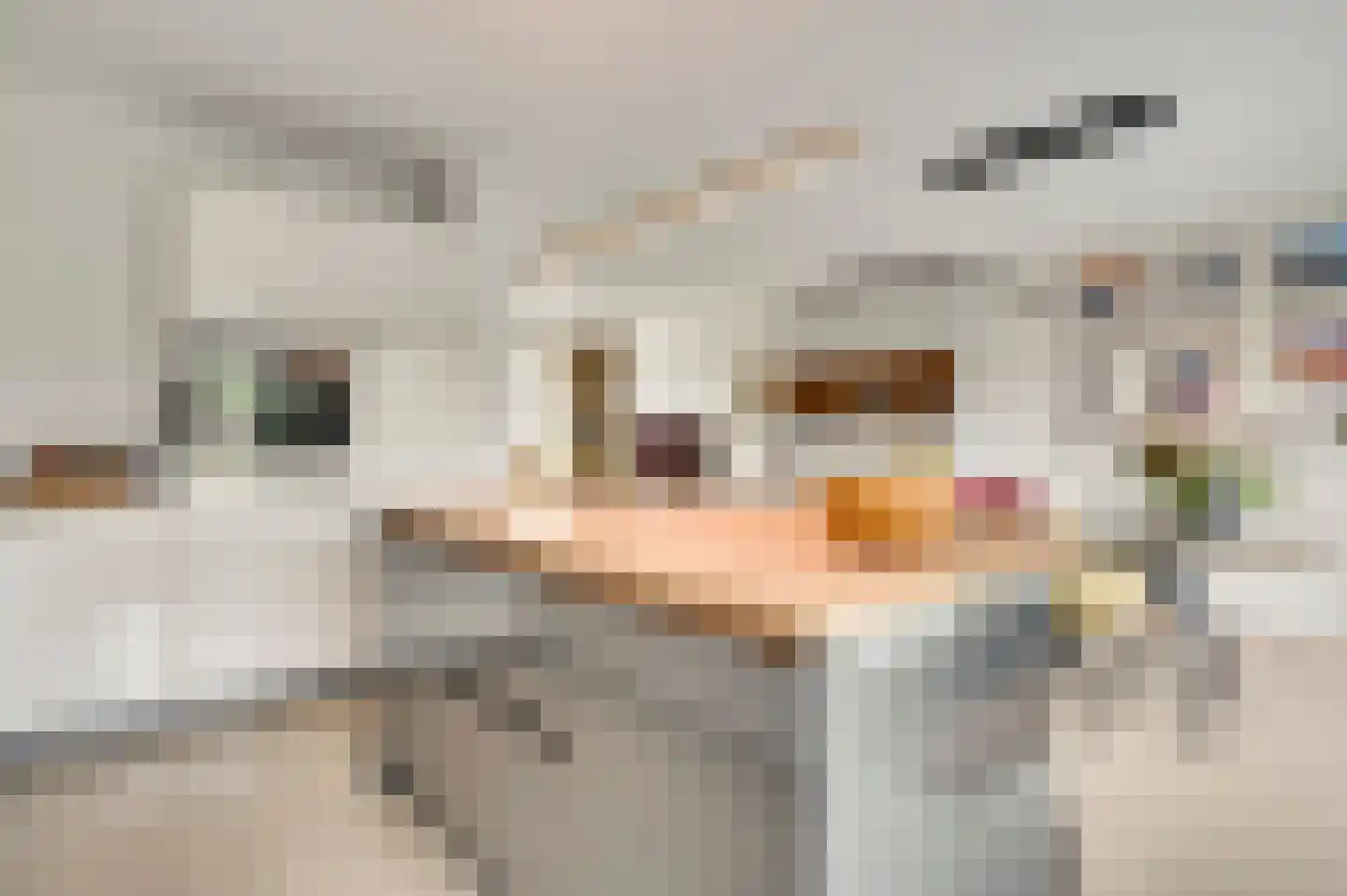 Redemptielaan 51 Maastricht thumbnail 11