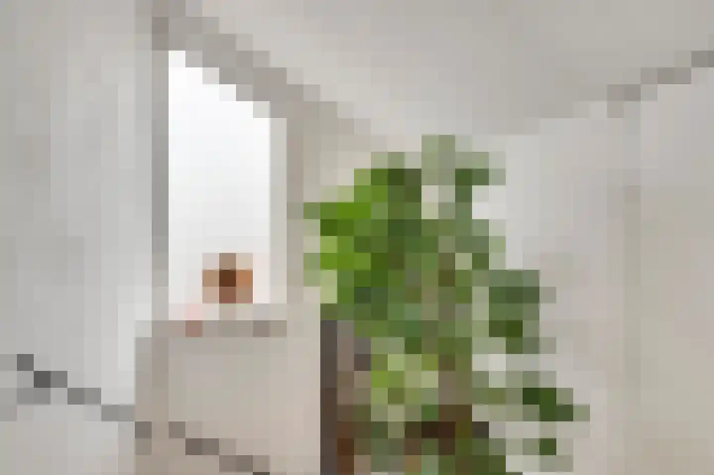 Redemptielaan 51 Maastricht thumbnail 34
