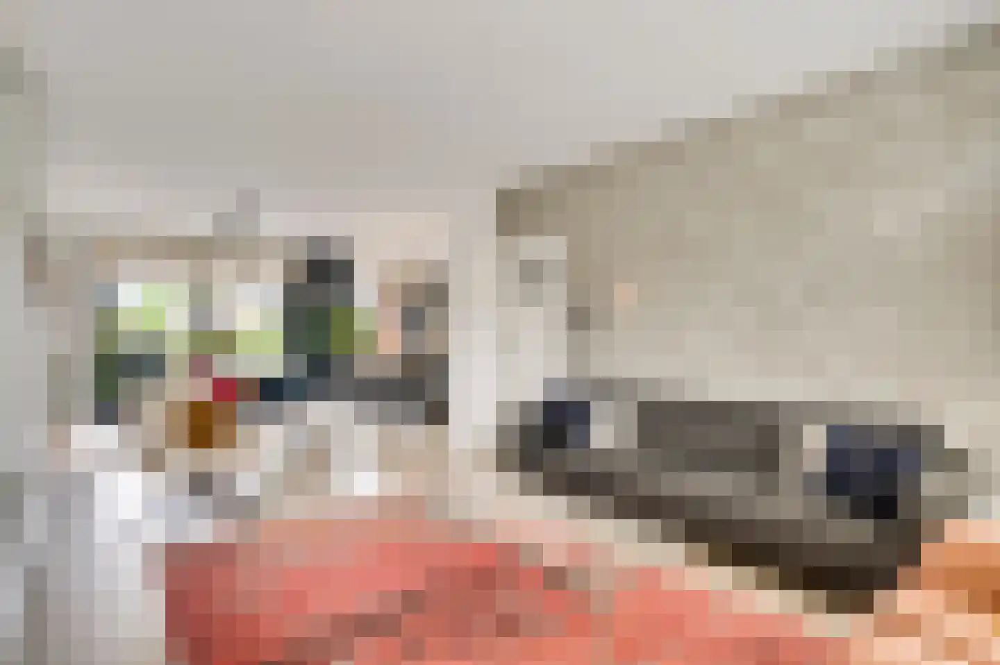 Redemptielaan 51 Maastricht thumbnail 6