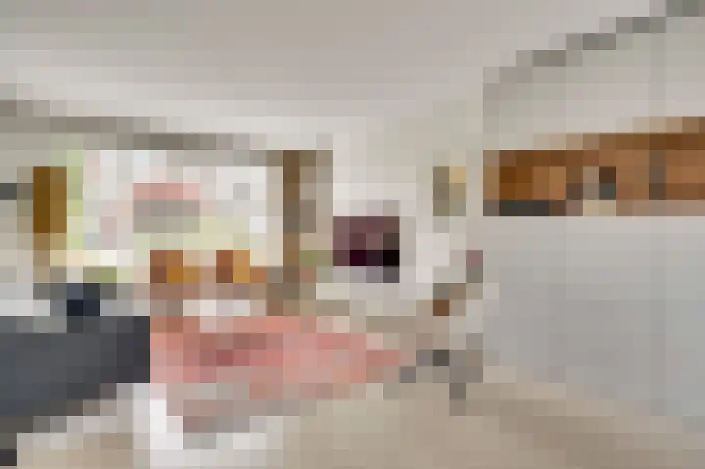 Redemptielaan 51 Maastricht thumbnail 7