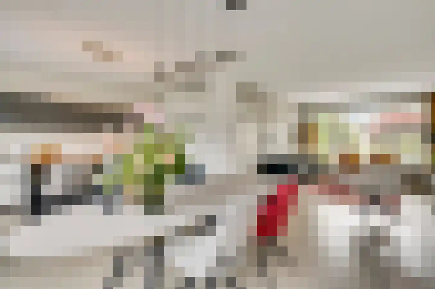 Redemptielaan 51 Maastricht thumbnail 8
