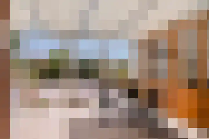 Redemptielaan 65 Maastricht thumbnail 11