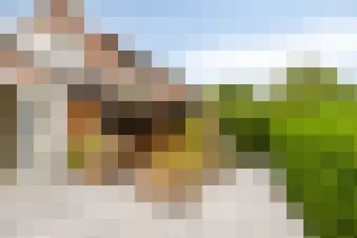 Redemptielaan 65 Maastricht thumbnail 12