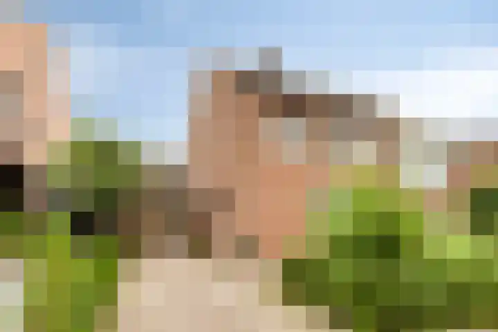Redemptielaan 65 Maastricht thumbnail 29