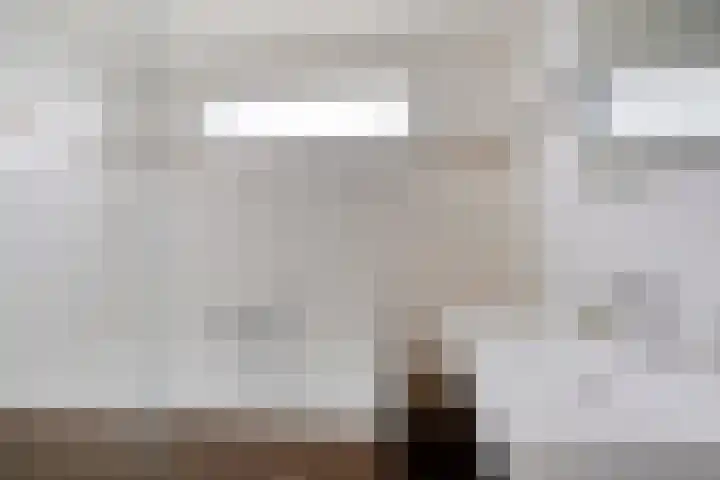 Redemptielaan 65 Maastricht thumbnail 5