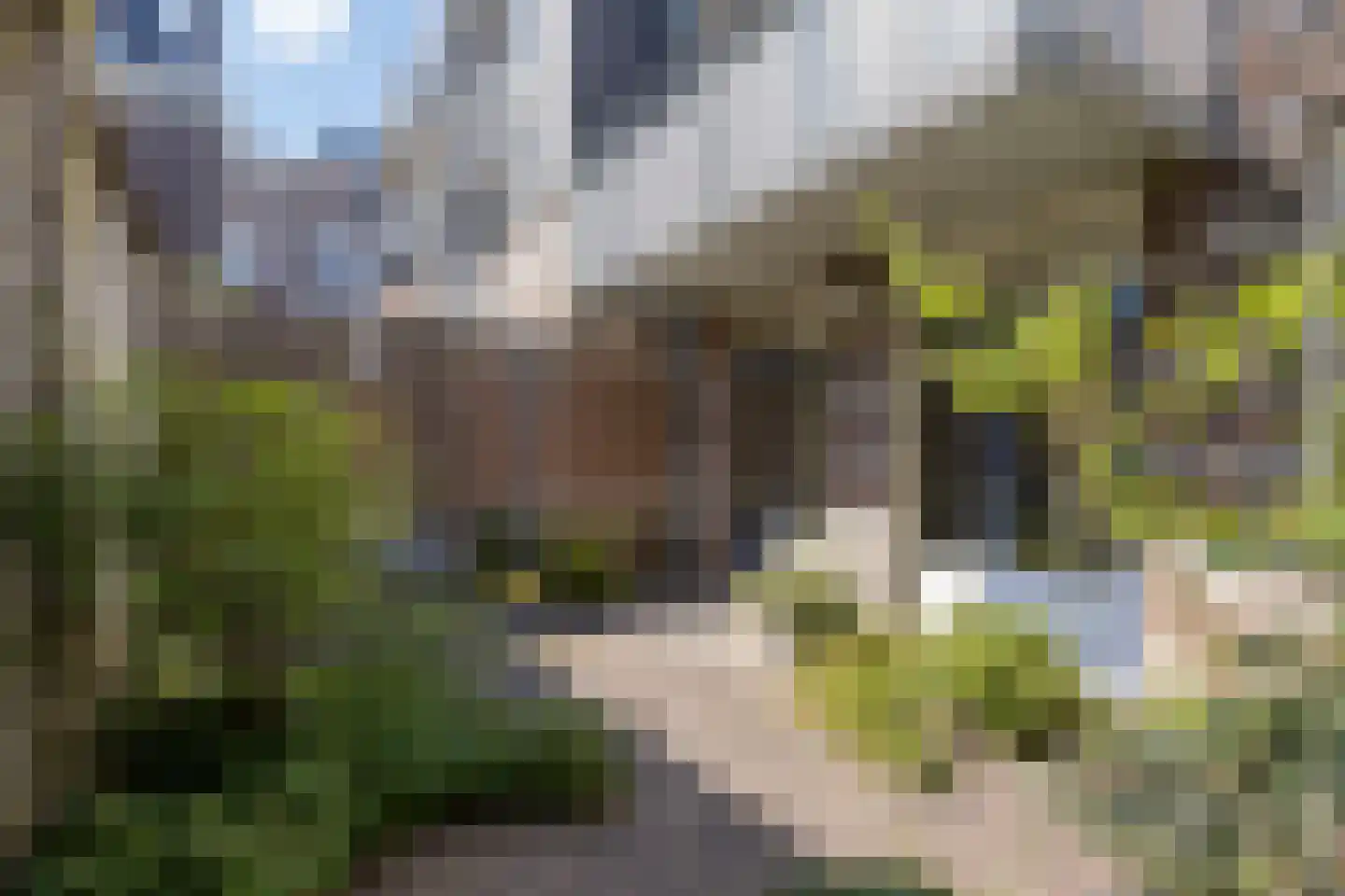 Redemptoristenpad 13 's-Hertogenbosch thumbnail 12