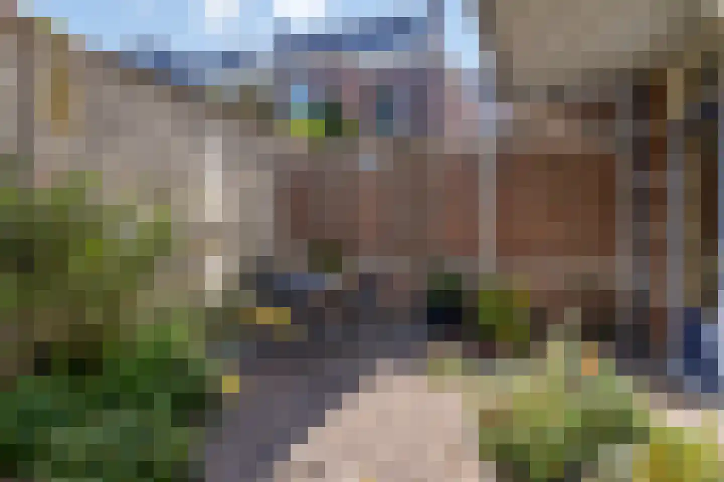 Redemptoristenpad 13 's-Hertogenbosch thumbnail 13