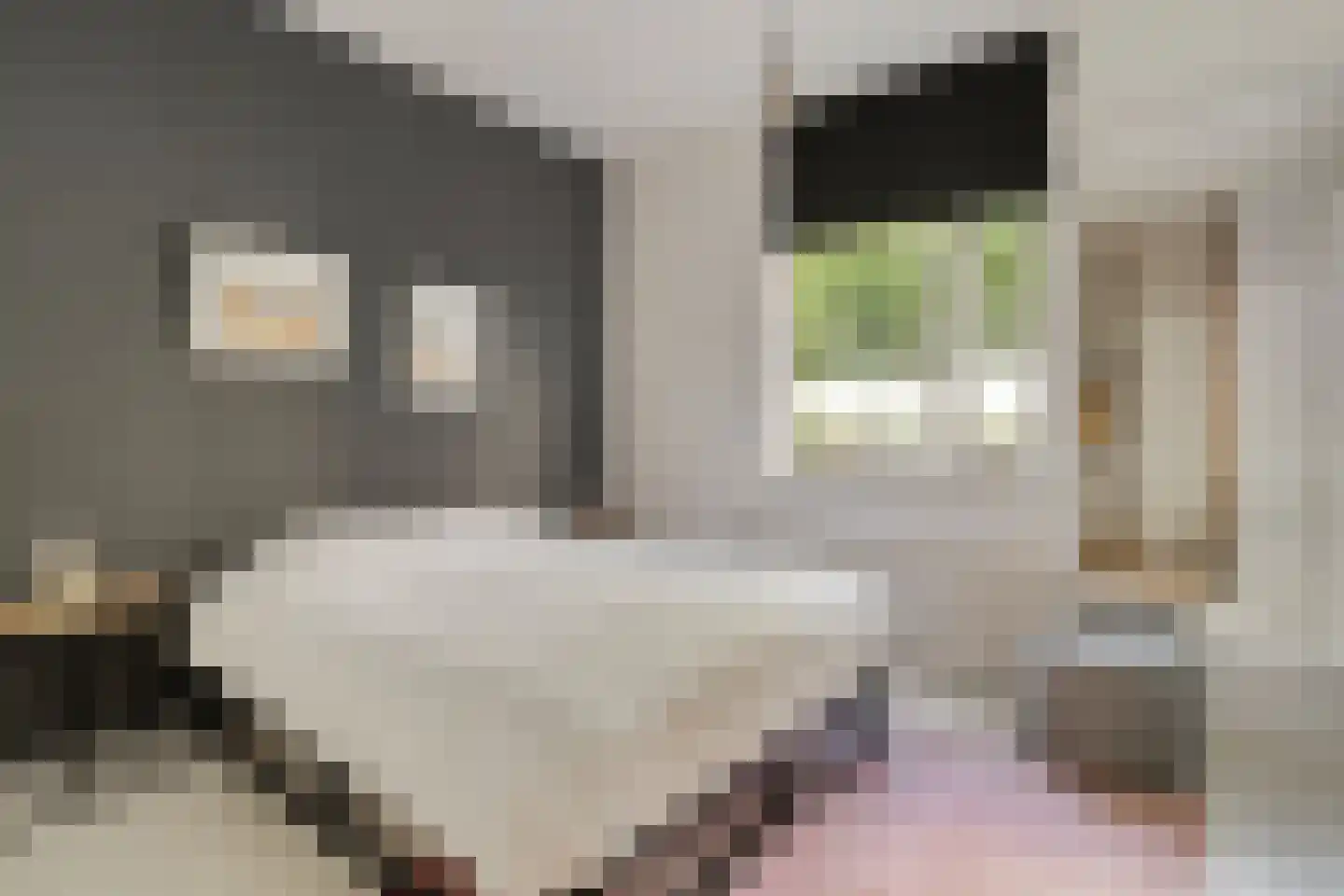 Redemptoristenpad 13 's-Hertogenbosch thumbnail 14