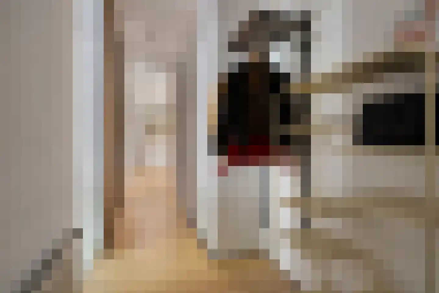 Redemptoristenpad 13 's-Hertogenbosch thumbnail 19