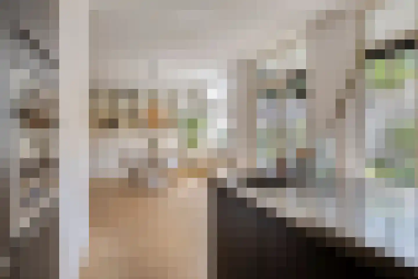 Redemptoristenpad 13 's-Hertogenbosch thumbnail 9
