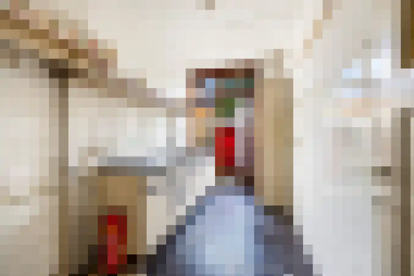 Redenburgstraat 14 Voorburg thumbnail 16