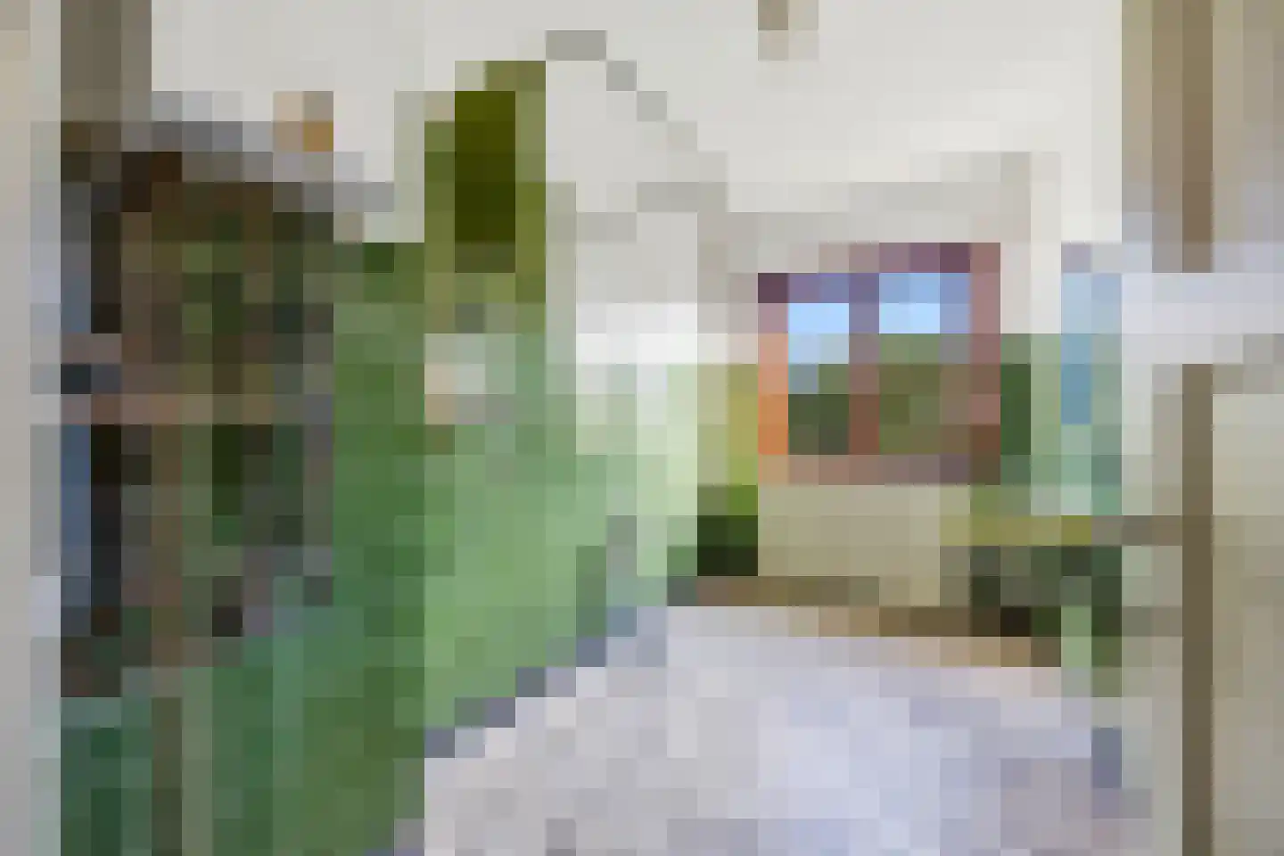 Redenburgstraat 14 Voorburg thumbnail 26