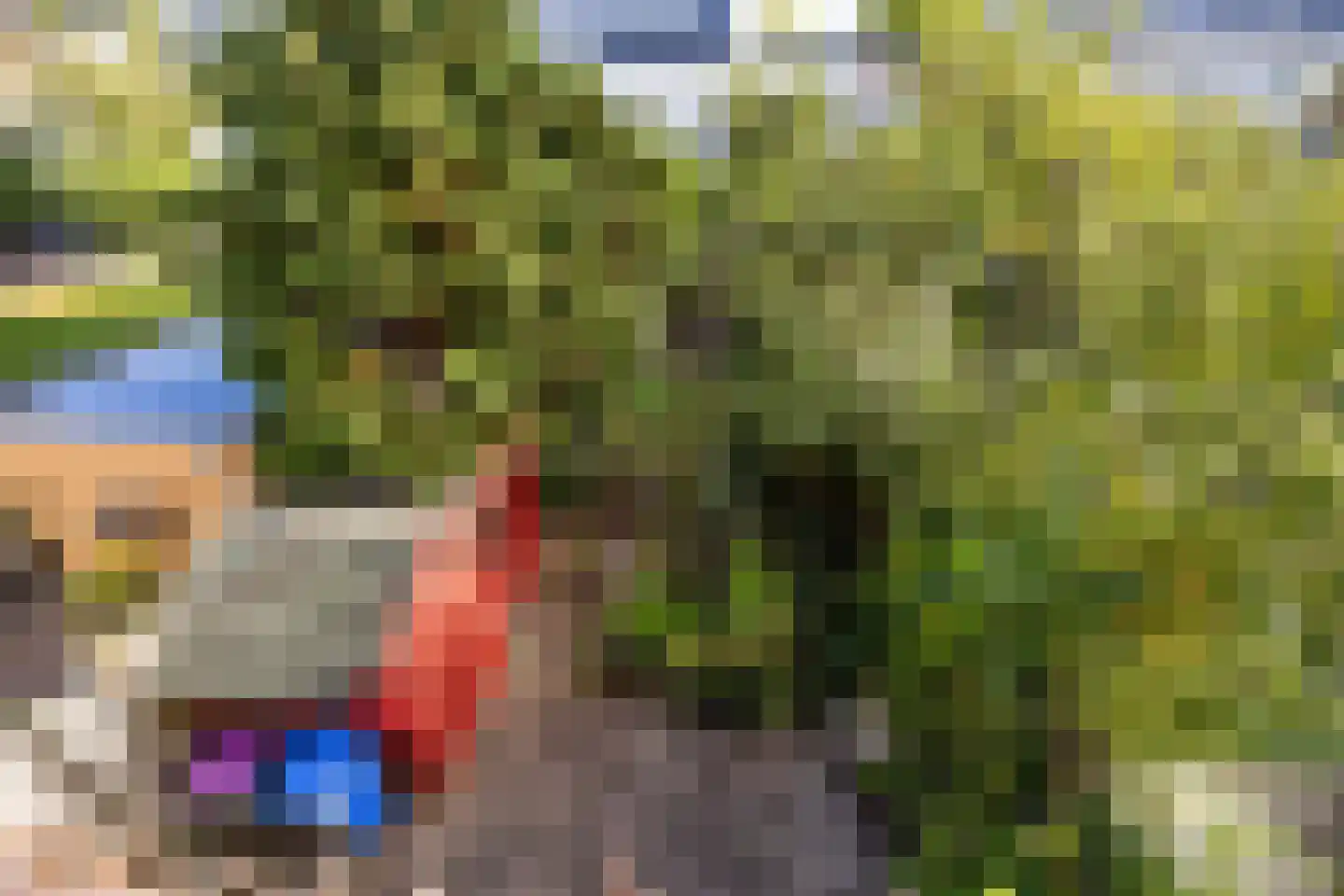 Redenburgstraat 14 Voorburg thumbnail 32