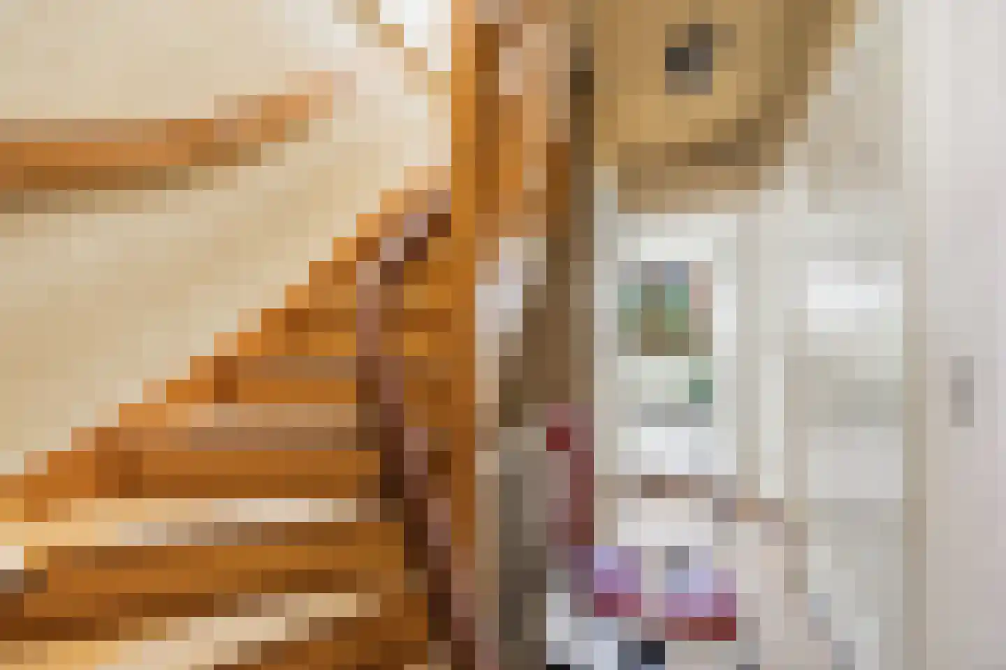 Redenburgstraat 14 Voorburg thumbnail 34