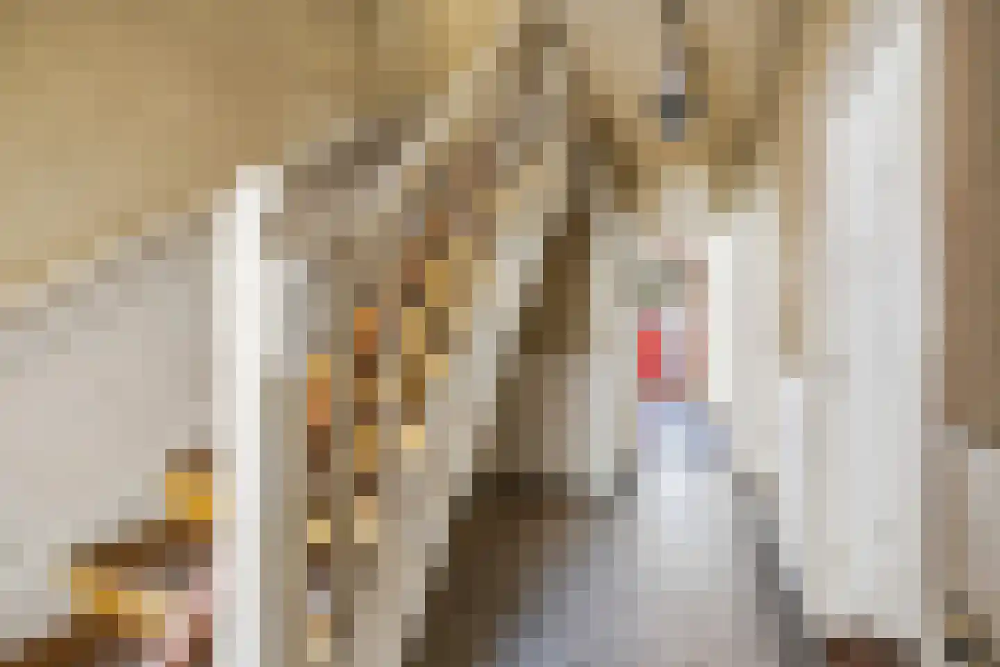 Redenburgstraat 14 Voorburg thumbnail 8