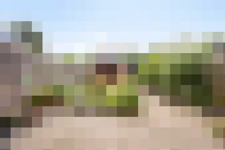 Rederijkershoeve 141 Apeldoorn thumbnail 21