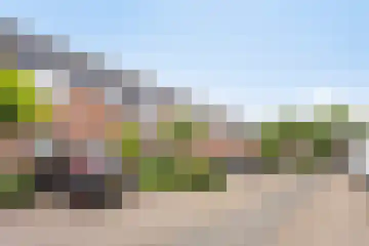 Rederijkershoeve 141 Apeldoorn thumbnail 29