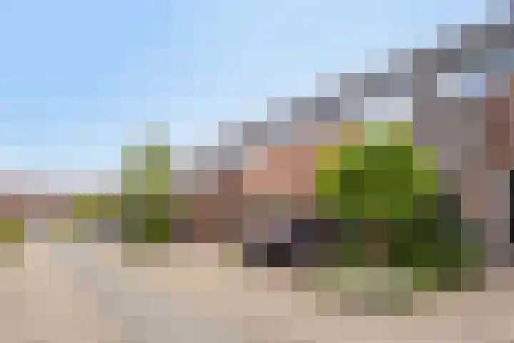 Rederijkershoeve 141 Apeldoorn thumbnail 31