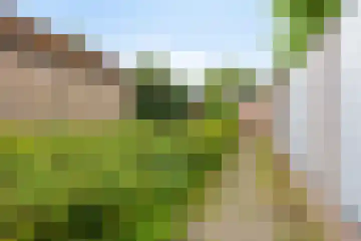 Rederijkershoeve 141 Apeldoorn thumbnail 33