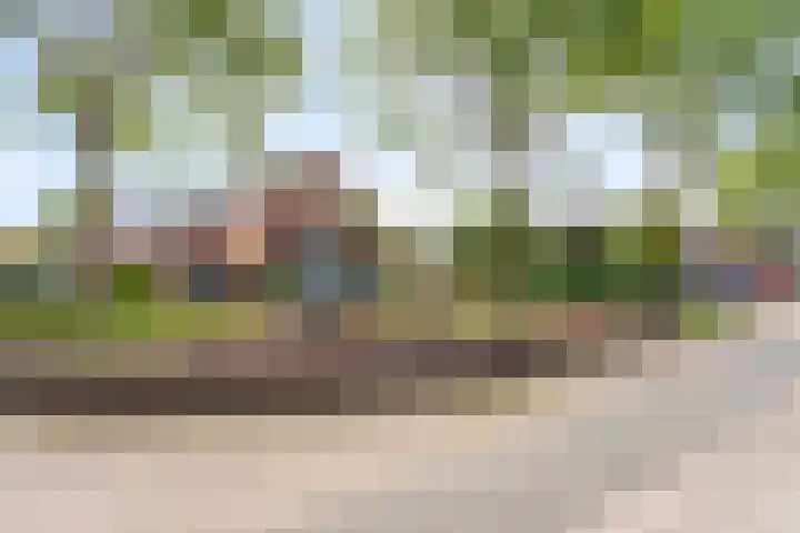 Rederijkershoeve 141 Apeldoorn thumbnail 34
