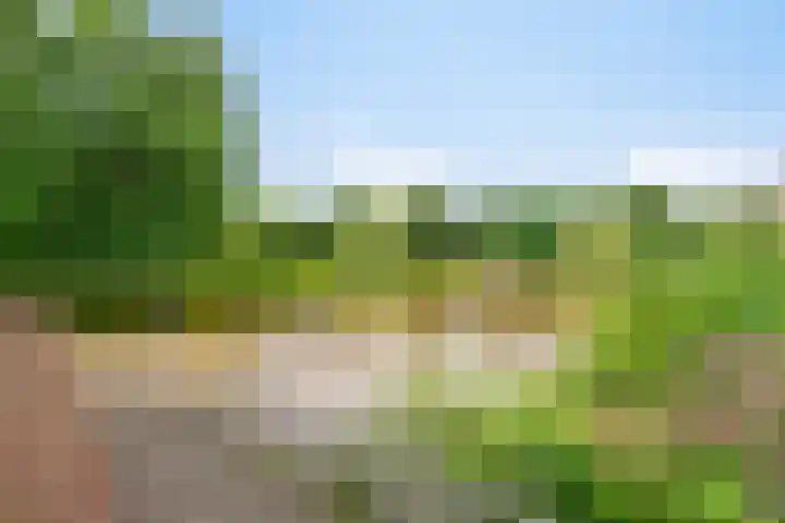 Rederijkershoeve 141 Apeldoorn thumbnail 35