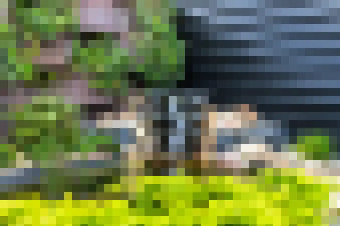 Rederijkershoeve 24 Apeldoorn thumbnail 19