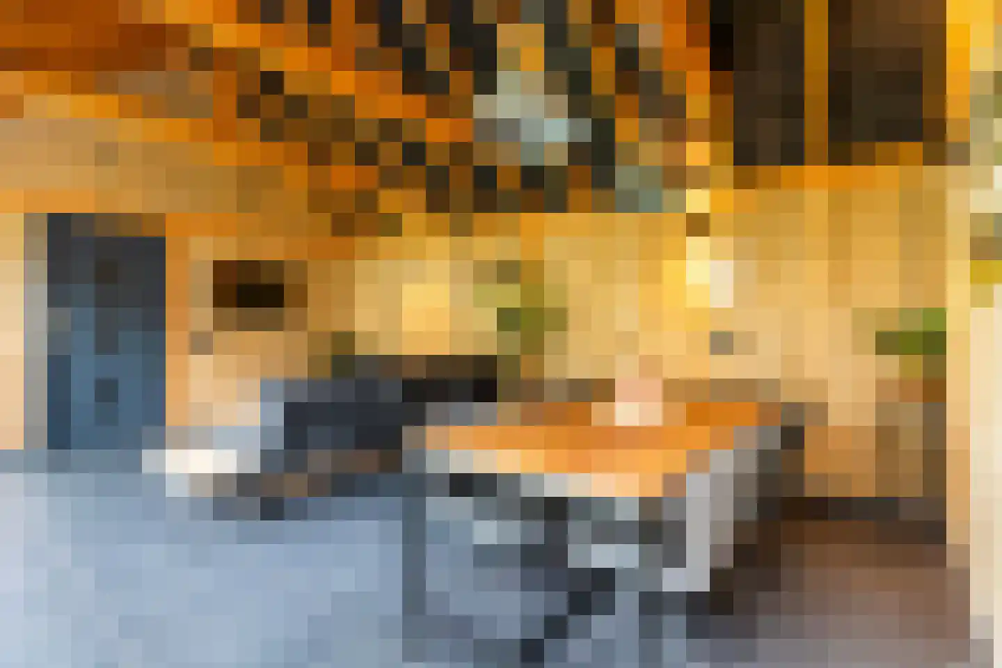 Rederijkershoeve 24 Apeldoorn thumbnail 22