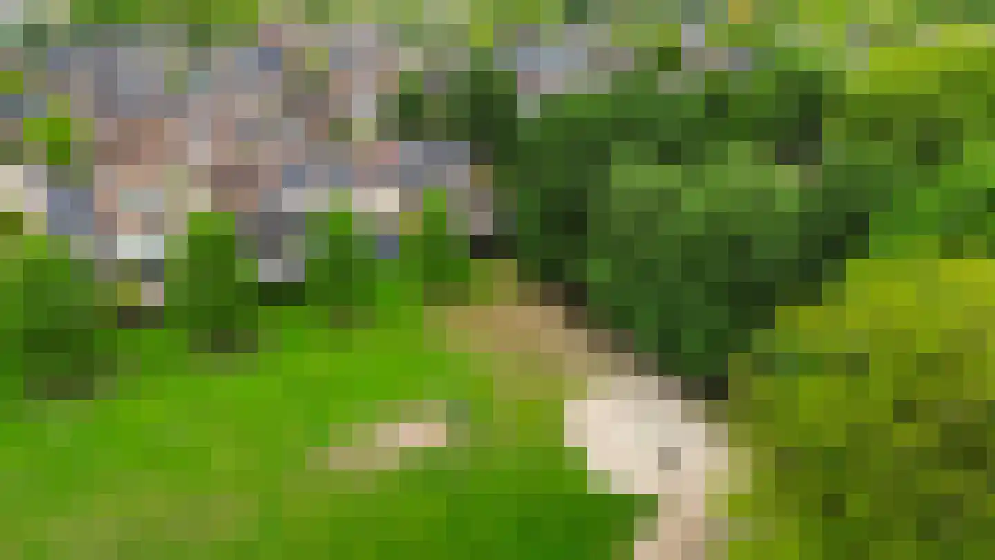Rederijkershoeve 24 Apeldoorn thumbnail 38