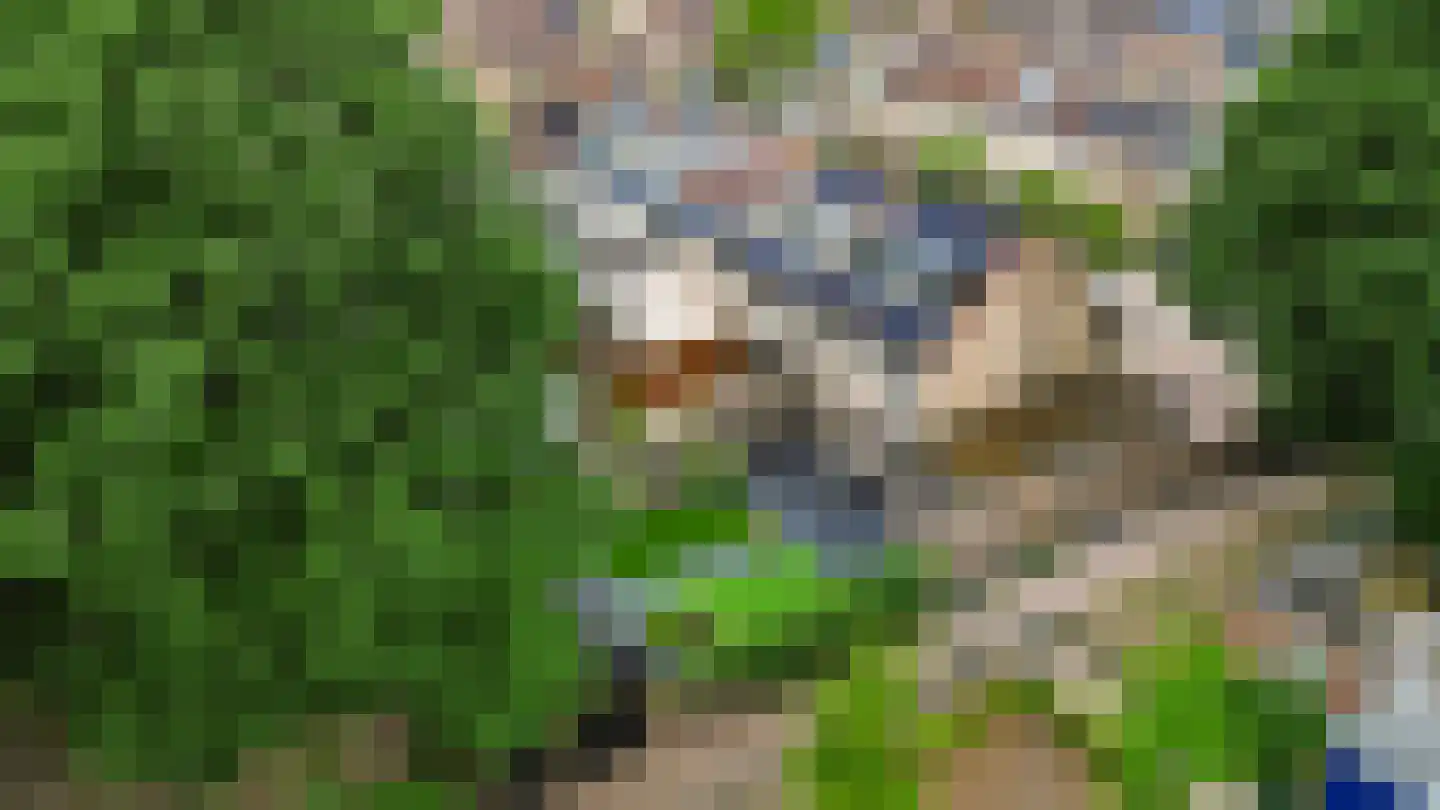 Rederijkershoeve 24 Apeldoorn thumbnail 39