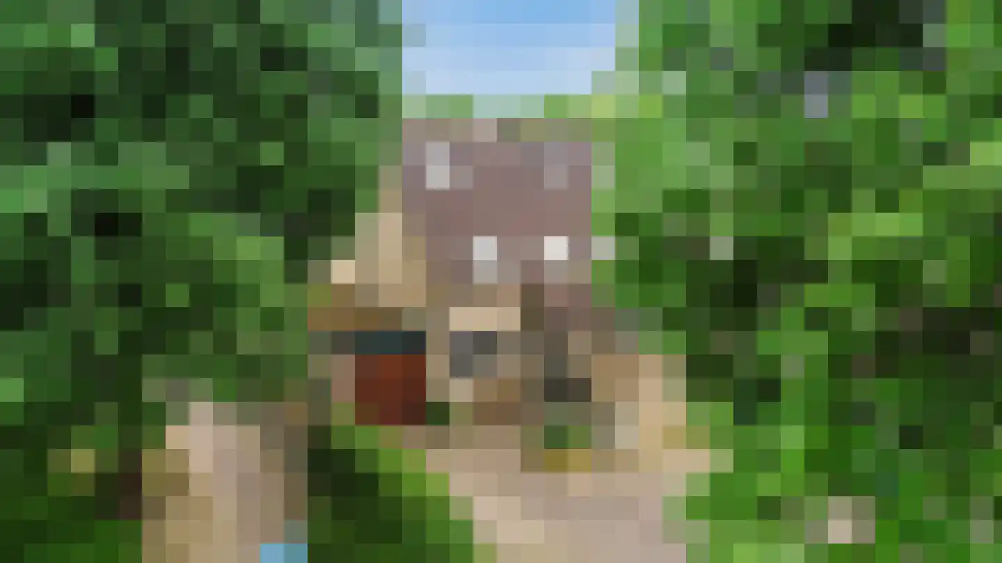 Rederijkershoeve 24 Apeldoorn thumbnail 4