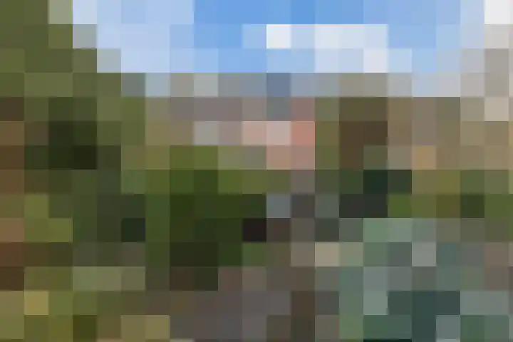 Rederijkershoeve 54 Apeldoorn thumbnail 26