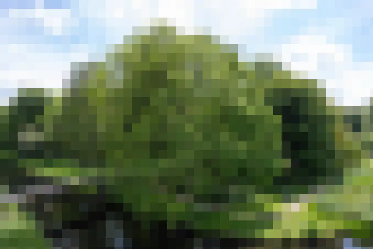 Rederijkershof 7 Alkmaar thumbnail 11