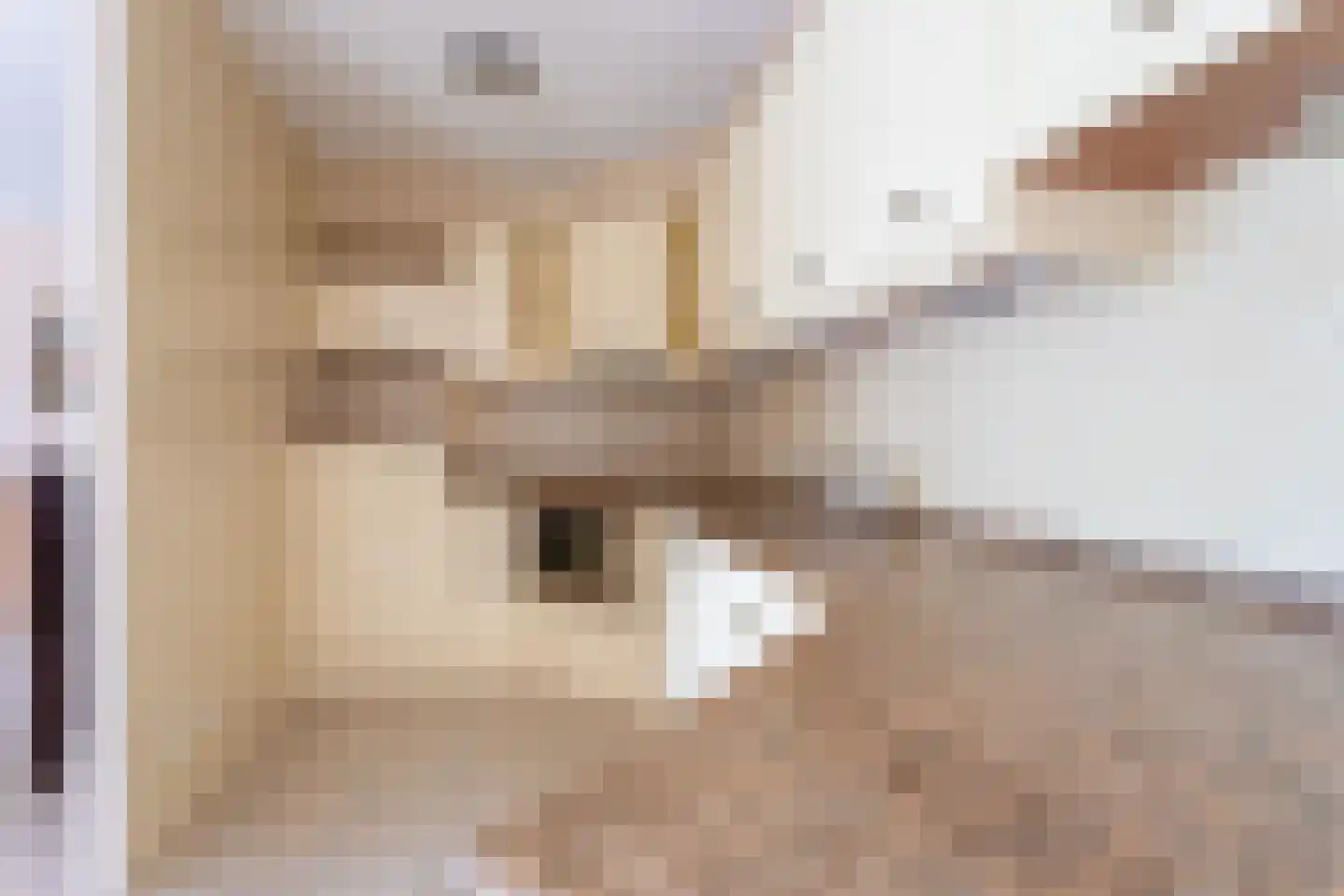 Rederijkershof 7 Alkmaar thumbnail 15