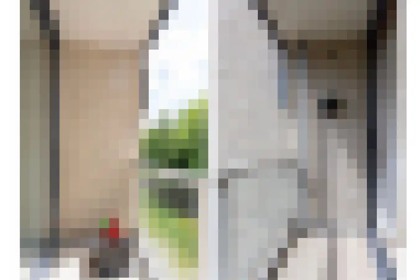 Rederijkershof 7 Alkmaar thumbnail 19
