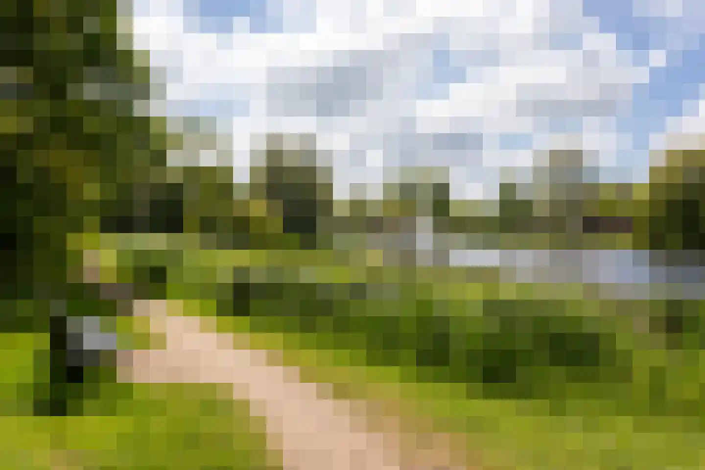 Rederijkershof 7 Alkmaar thumbnail 42