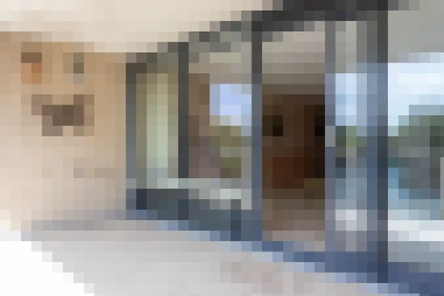 Rederijkershof 7 Alkmaar thumbnail 9