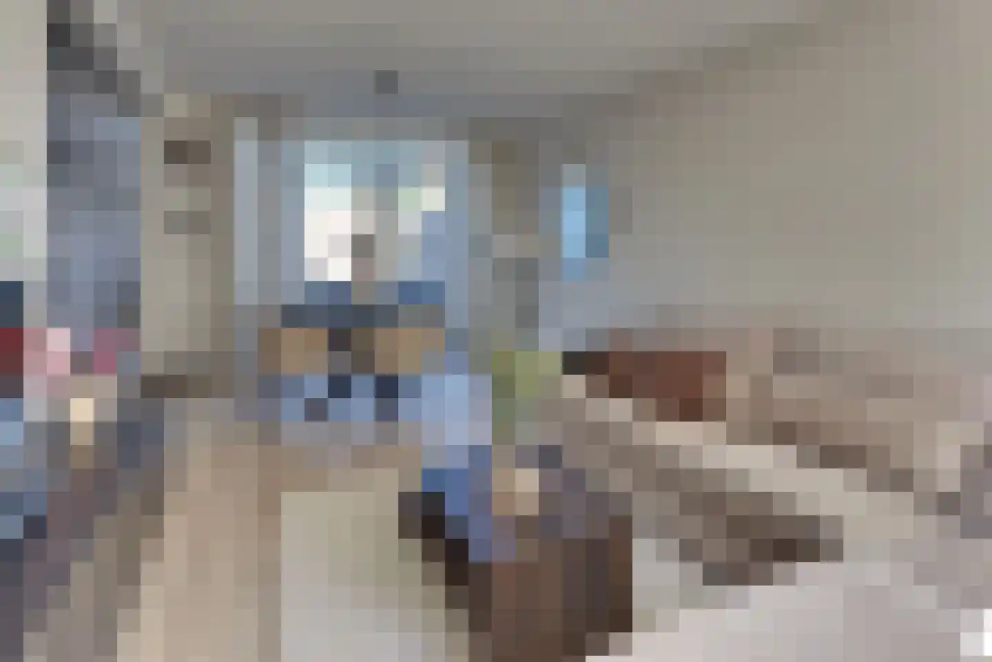Rederijkersstraat 22 Harderwijk thumbnail 12