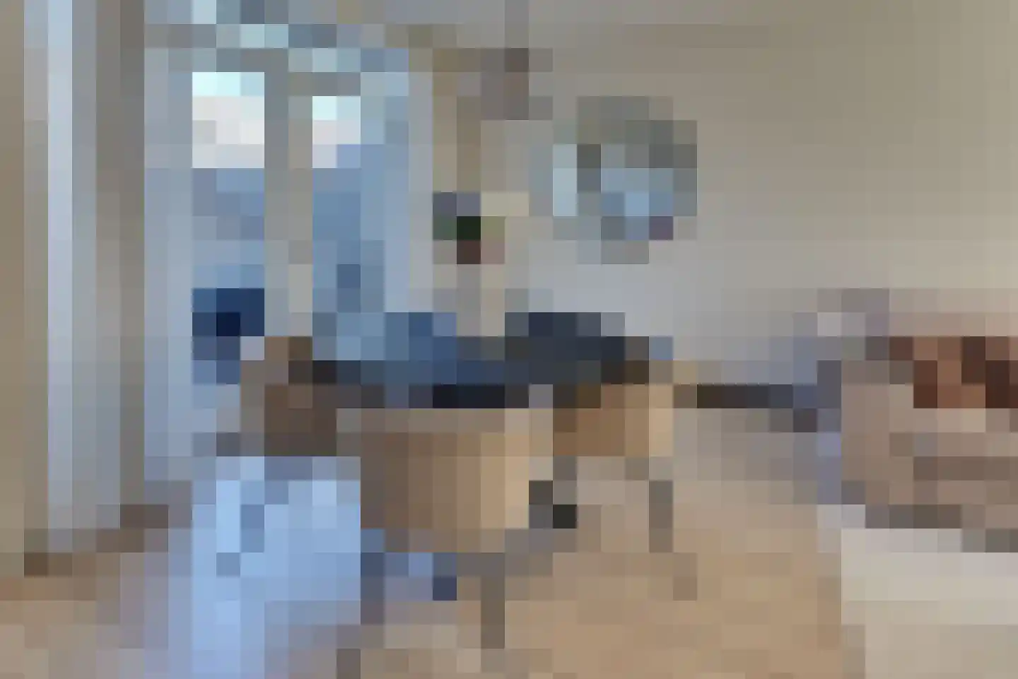 Rederijkersstraat 22 Harderwijk thumbnail 13