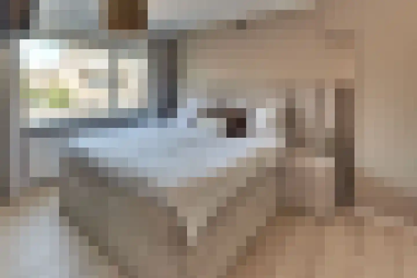 Rederijkersstraat 22 Harderwijk thumbnail 22