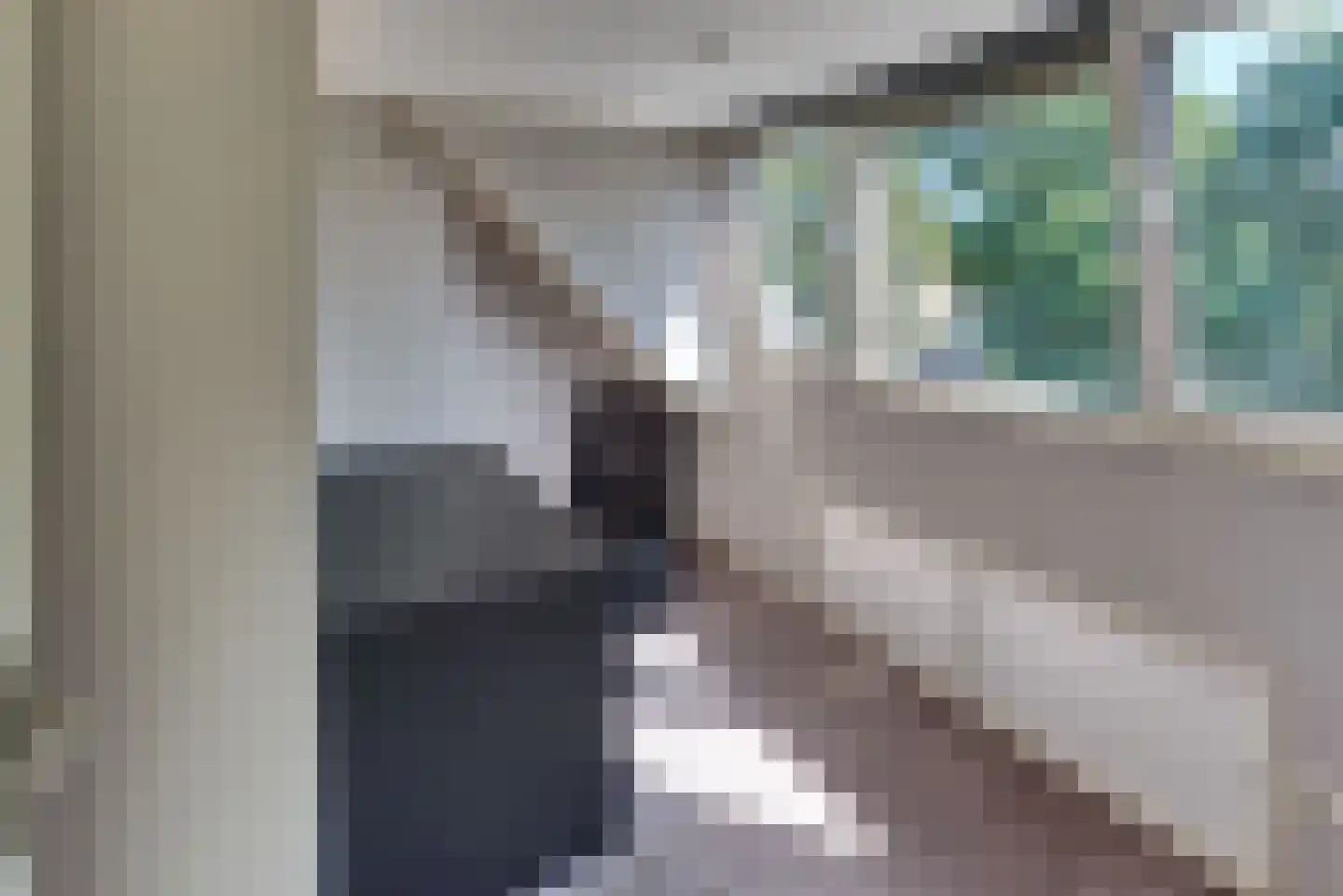 Rederijkersstraat 22 Harderwijk thumbnail 29