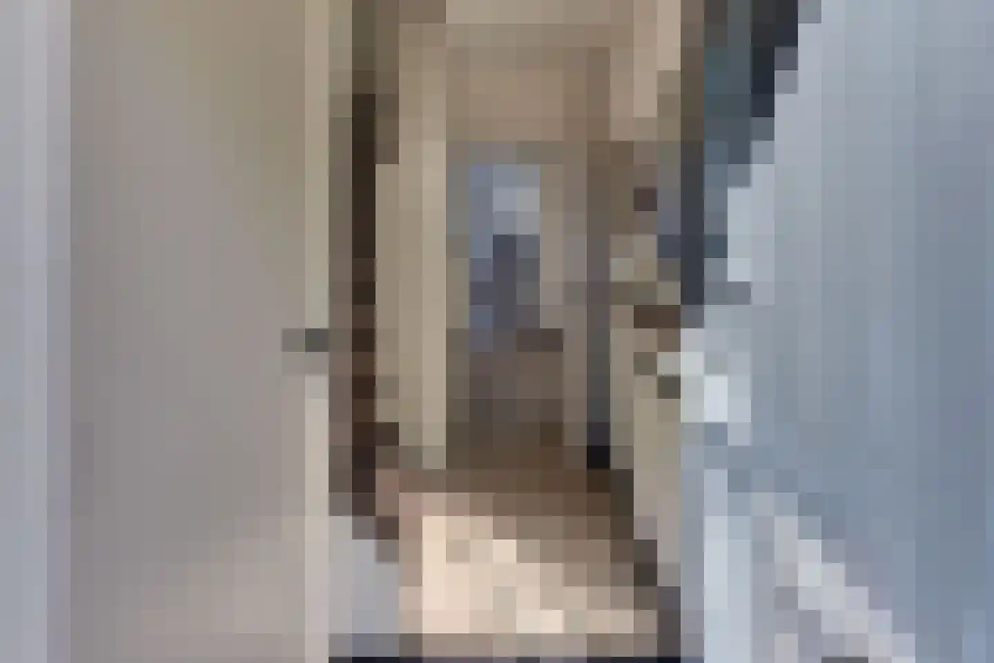 Rederijkersstraat 22 Harderwijk thumbnail 7