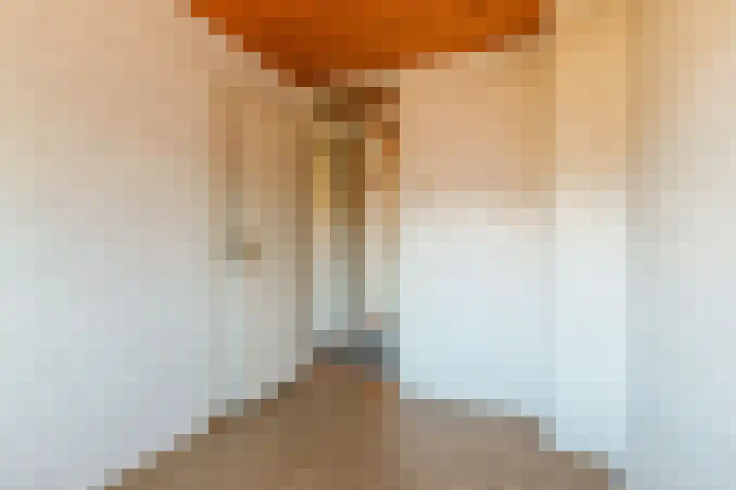 Rederijkersstraat 36 Harderwijk thumbnail 17