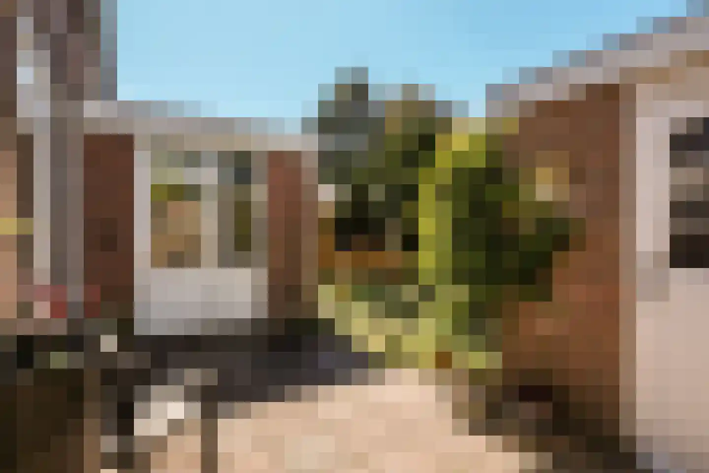 Rederijkersstraat 36 Harderwijk thumbnail 24