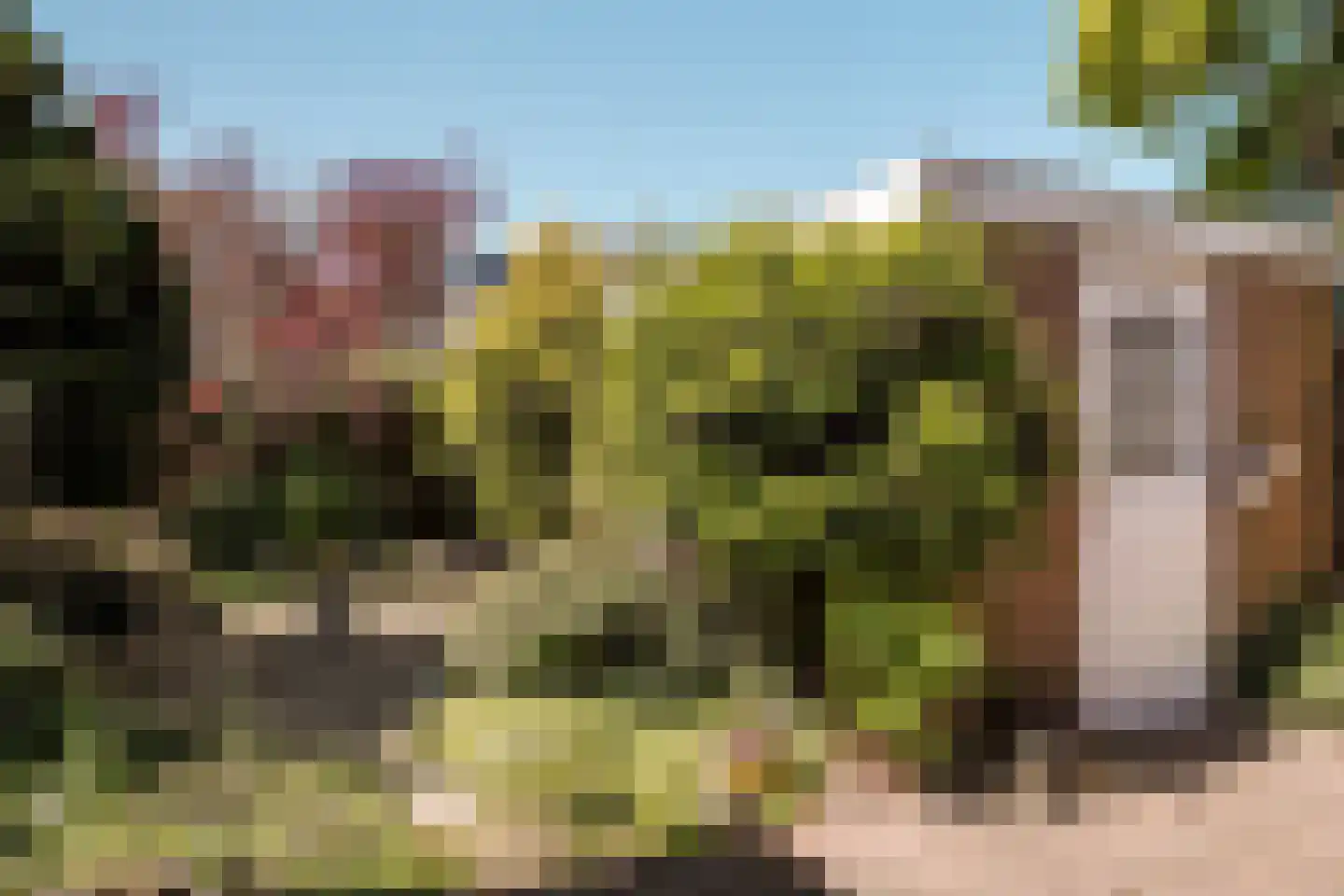 Rederijkersstraat 36 Harderwijk thumbnail 25