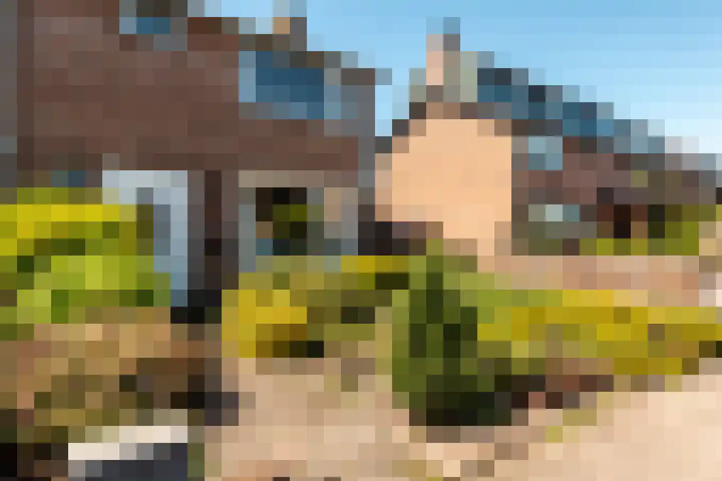 Rederijkersstraat 36 Harderwijk thumbnail 29